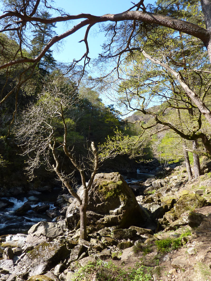 Afon Glaslyn